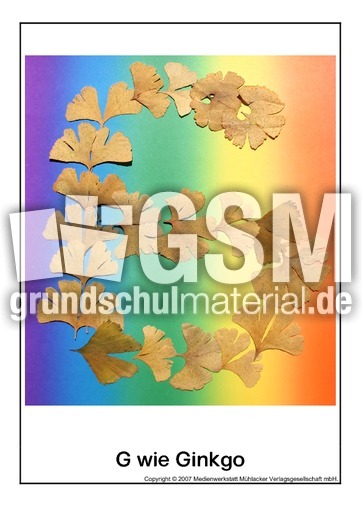 G-wie-Ginkgo.pdf
